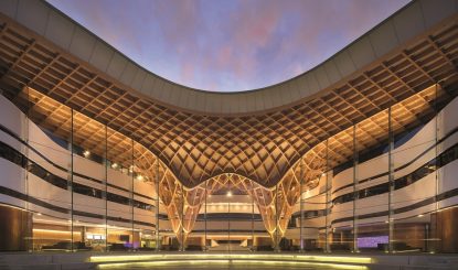 آیا چوب فشرده عامل کلیدی در آینده کم کربن است؟