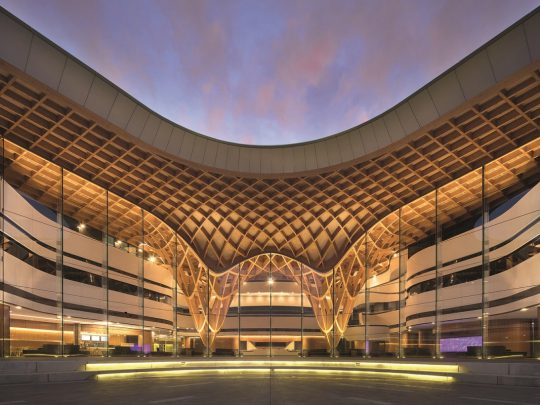 آیا چوب فشرده عامل کلیدی در آینده کم کربن است؟